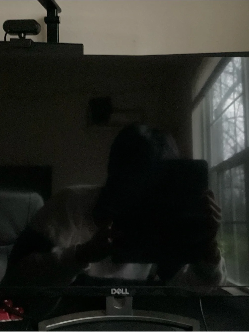 Dell 23
